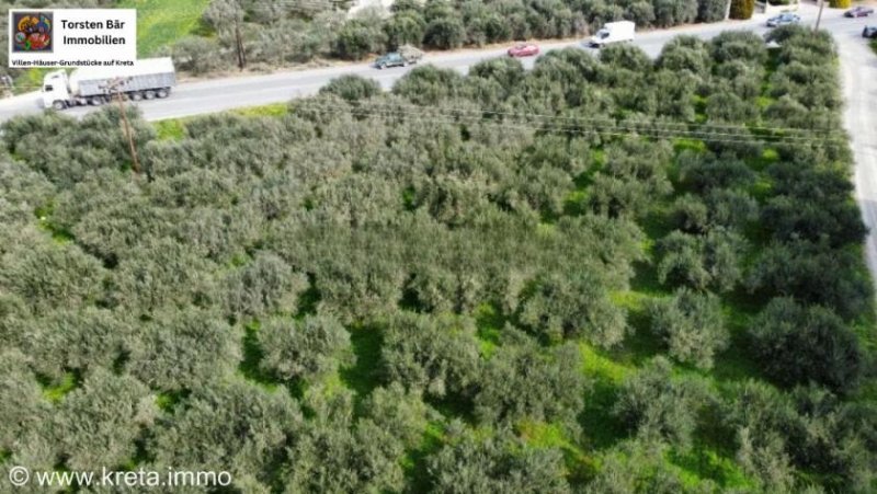 Kaparianna Kreta, Kaparianna Olivenhain 13.000m² zu verkaufen Grundstück kaufen